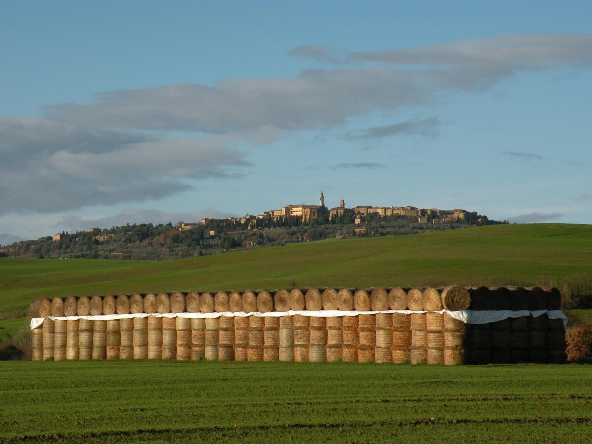 Agriturismo Bonello Villa Pienza Eksteriør bilde