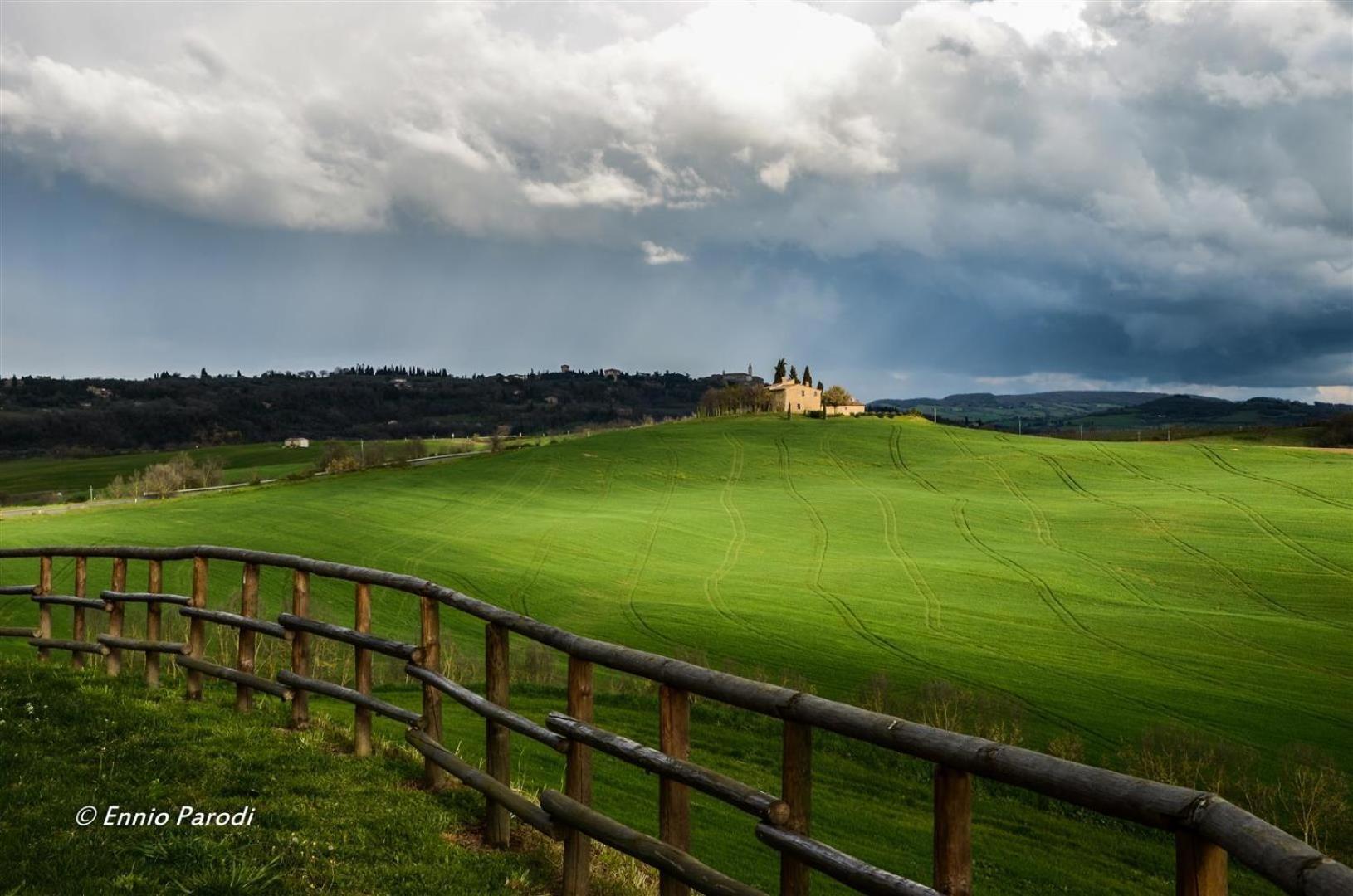 Agriturismo Bonello Villa Pienza Eksteriør bilde