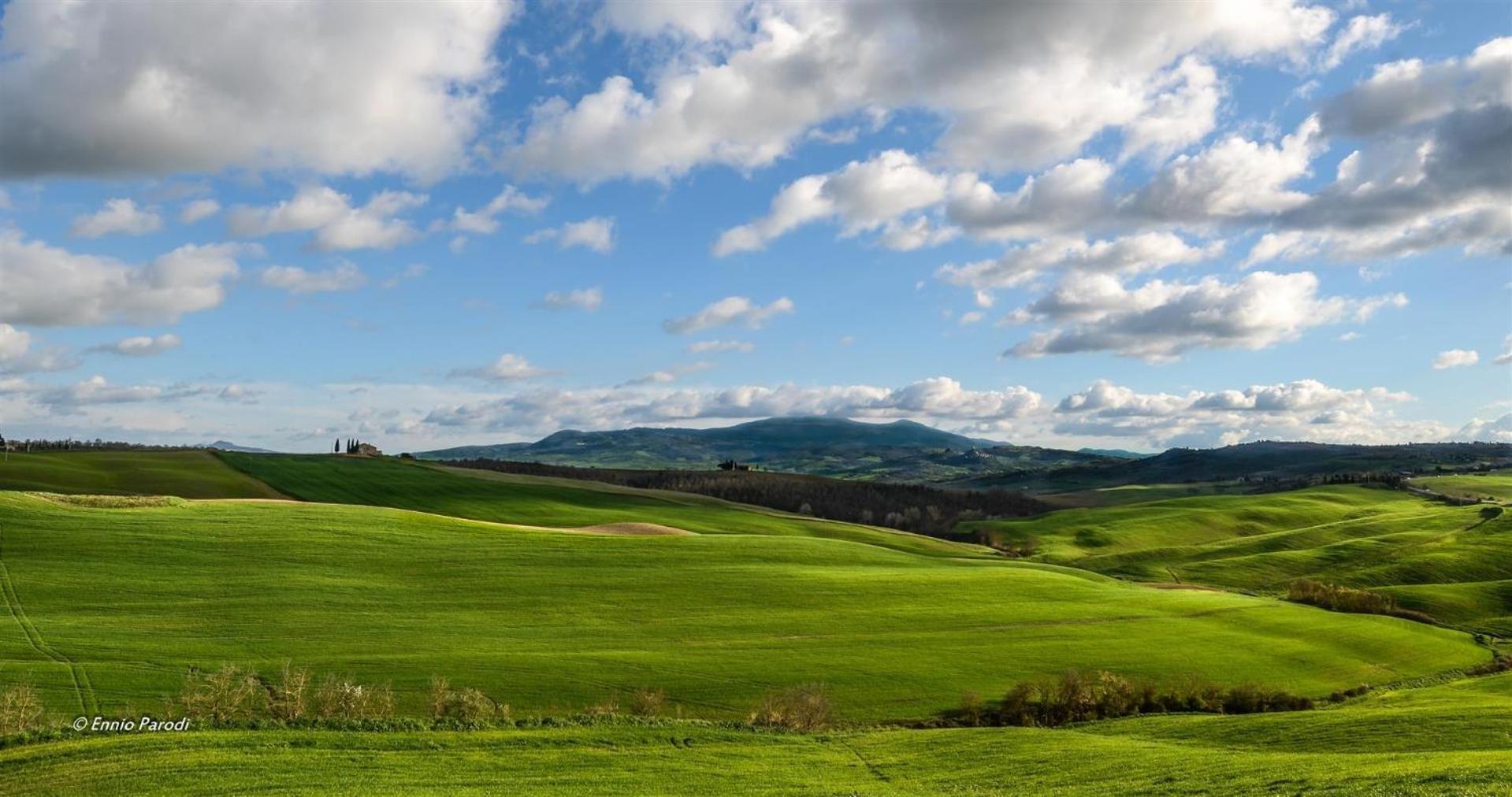 Agriturismo Bonello Villa Pienza Eksteriør bilde