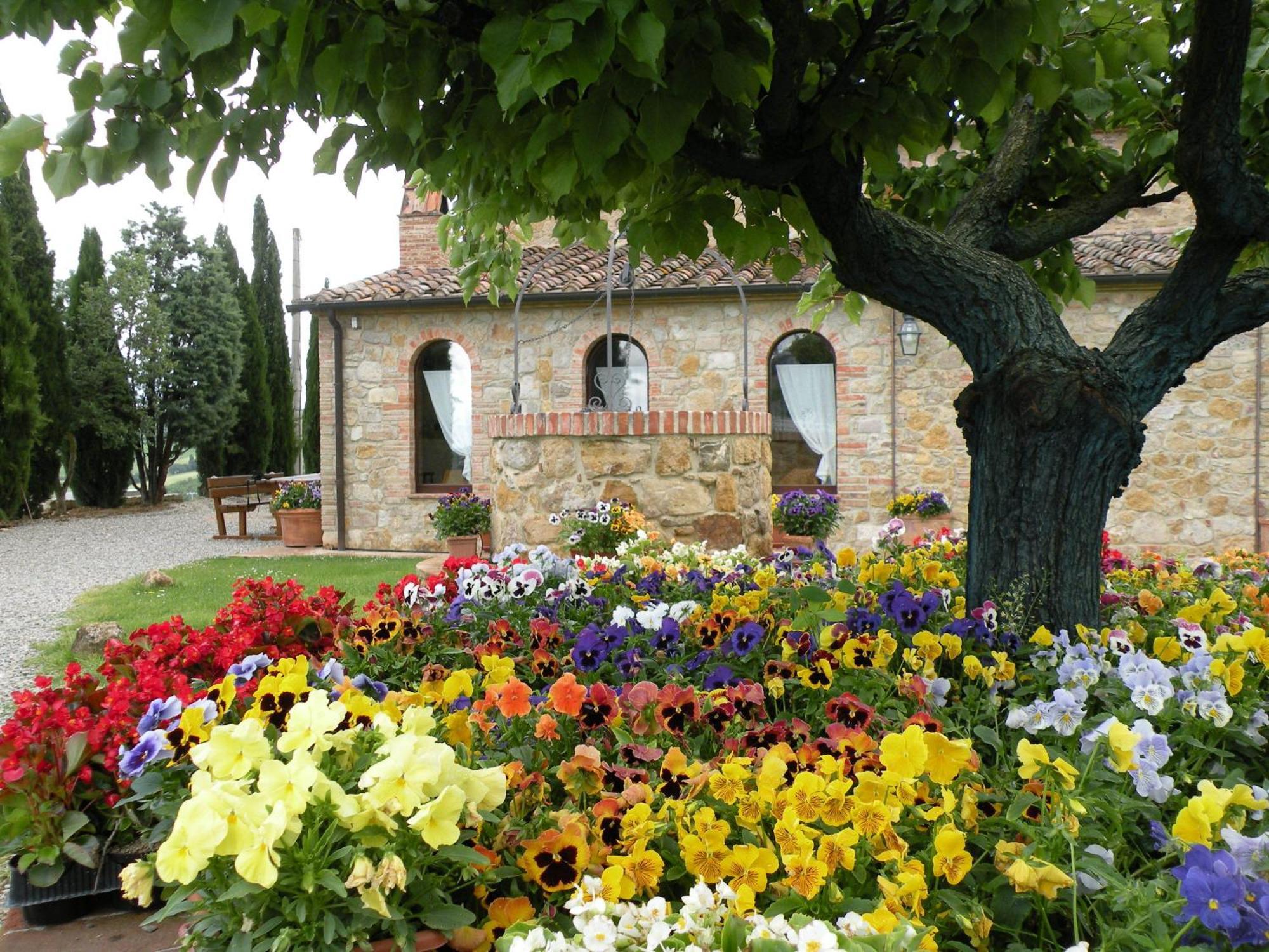 Agriturismo Bonello Villa Pienza Eksteriør bilde