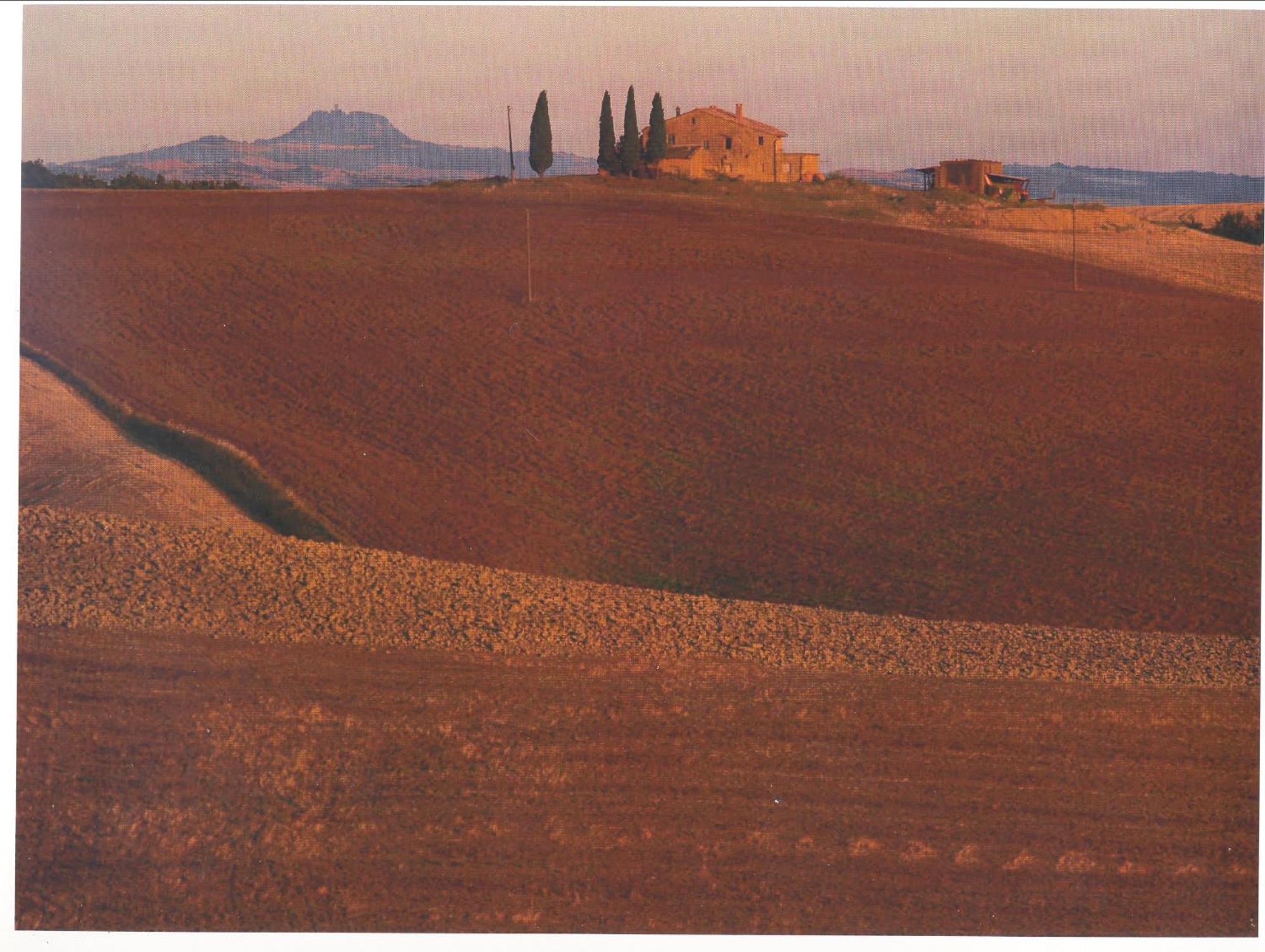 Agriturismo Bonello Villa Pienza Eksteriør bilde