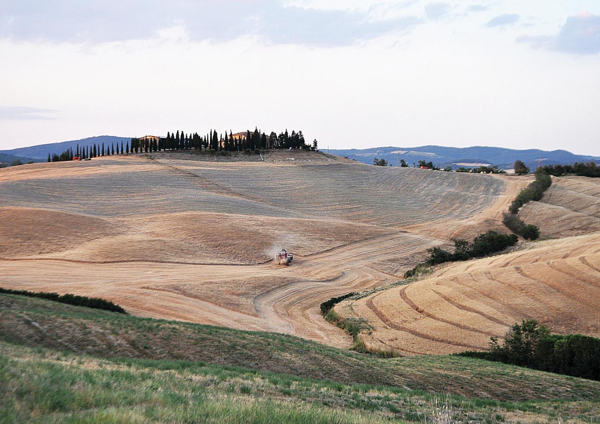 Agriturismo Bonello Villa Pienza Eksteriør bilde