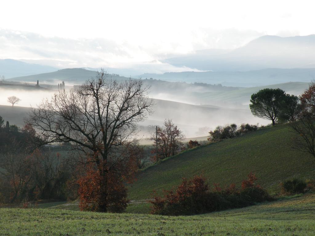 Agriturismo Bonello Villa Pienza Eksteriør bilde