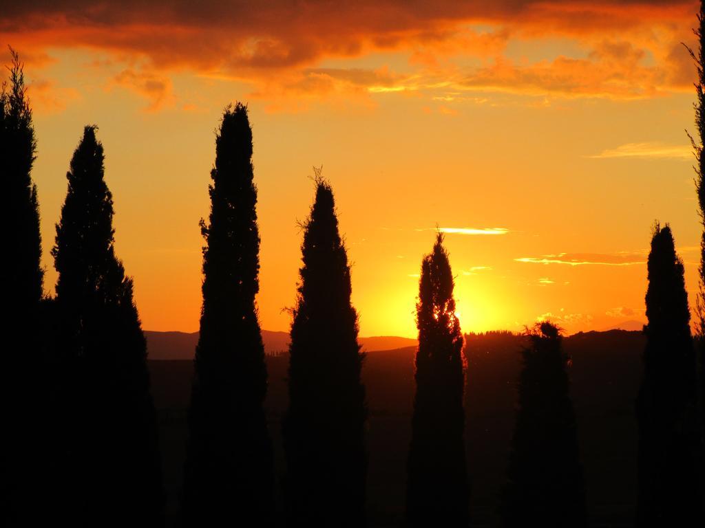 Agriturismo Bonello Villa Pienza Eksteriør bilde