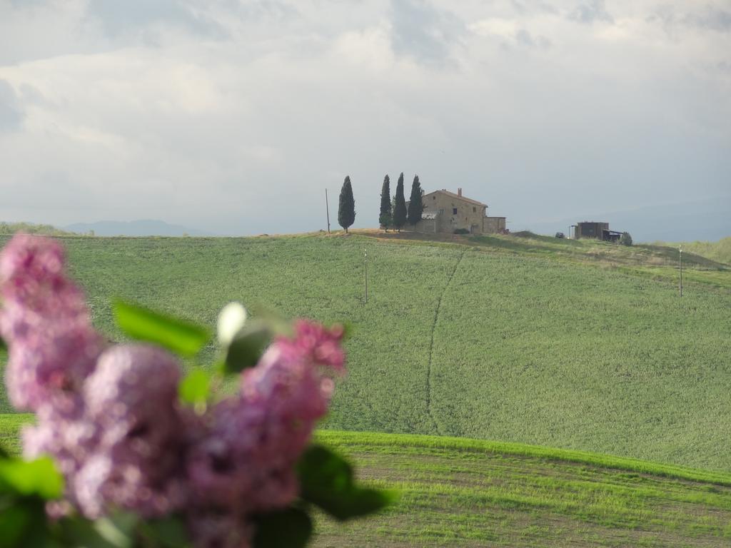 Agriturismo Bonello Villa Pienza Eksteriør bilde